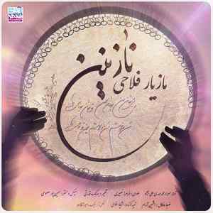 موزیک ( بیا ببین از غمت ناله سر دادم ببین مرا بی کسم دلبرم جانم بی تو من بی قرارم )