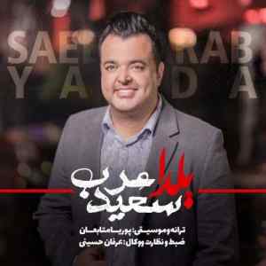 موزیک ( تویی دلدار این قلبی که بیماره خودت بگو قد من آخه کی دوست داره )