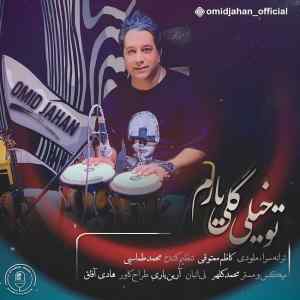 موزیک ( ای عزیز و دلدارم تو خیلی گلی یارم )