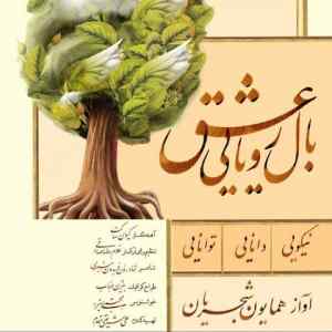 موزیک ( میکشد باز سوی خاک مرا )