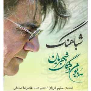 موزیک ( همدم شب هایی در غم تنهایی بیا بیا )